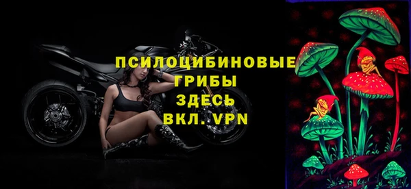 дмт Нефтегорск