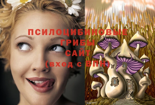 a pvp Новозыбков