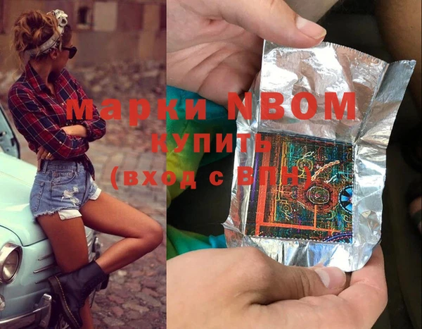 a pvp Новозыбков