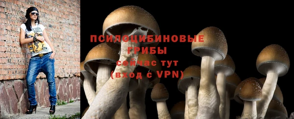 a pvp Новозыбков