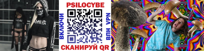 Псилоцибиновые грибы Cubensis Михайловск