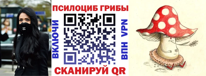 это формула  где купить   Михайловск  Псилоцибиновые грибы Psilocybine cubensis  OMG рабочий сайт 