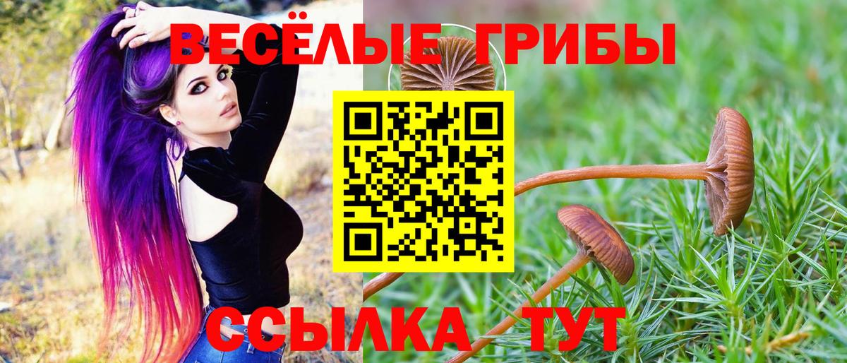 КОКАИН  Вход с VPN  Михайловск  Канабис  Мефедрон кристаллы  Мефедрон  ГАШИШ 