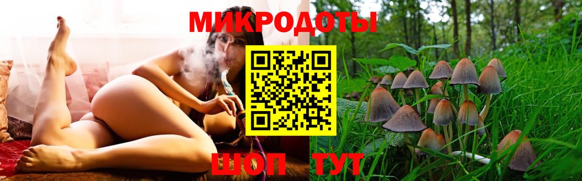 Псилоцибиновые грибы Psilocybe  Вход с VPN  Михайловск  купить наркоту  Псилоцибиновые грибы Psilocybe 