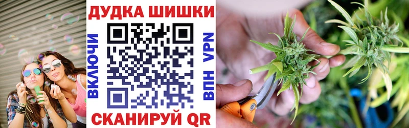 где купить наркоту  Михайловск  гидра онион  Бошки марихуана THC 21% 